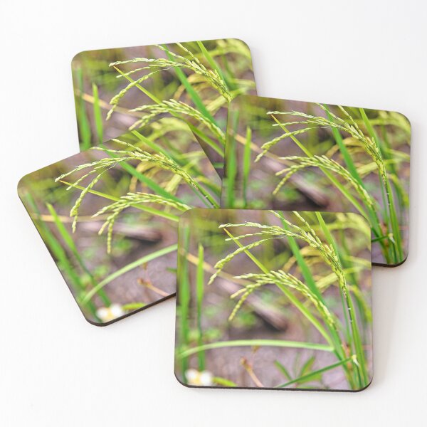 Item preview, La espiga de arroz en desarrollo, símbolo de fertilidad y vida. designed and sold by franck380.