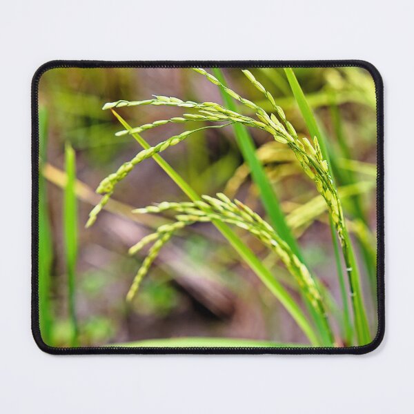 Item preview, The developing ear of rice, a symbol of fertility and life designed and sold by franck380.