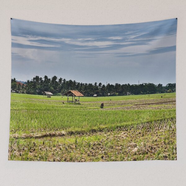 Item preview, Indonesian agricultural landscape under a bright cloudy sky designed and sold by franck380.