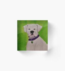 Boxer Dog Acrylic Block