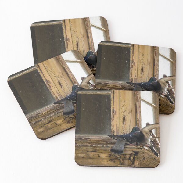Item preview, Pigeons Clash In Flight On A Weathered Window Sill Of An Old, Crumbling Building Facade designed and sold by Nmallia.