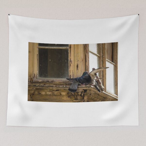 Item preview, Pigeons Clash In Flight On A Weathered Window Sill Of An Old, Crumbling Building Facade designed and sold by Nmallia.