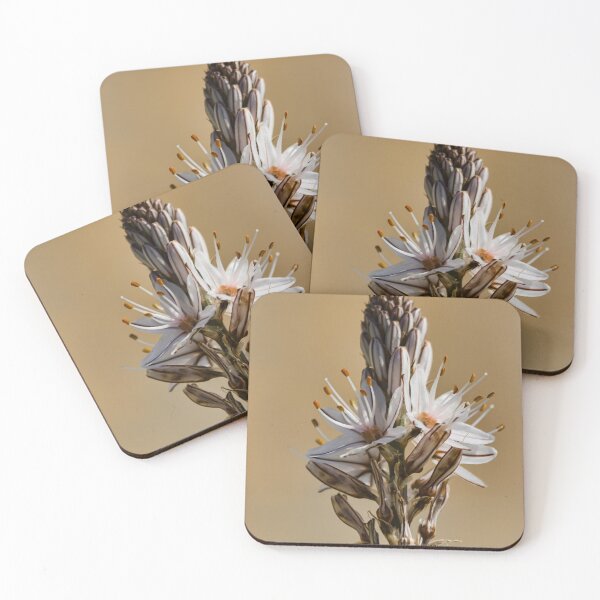 Item preview, Close-Up Of White Flower Spike With Delicate Petals And Orange Anthers Against Soft Beige Background designed and sold by Nmallia.
