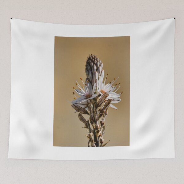 Item preview, Close-Up Of White Flower Spike With Delicate Petals And Orange Anthers Against Soft Beige Background designed and sold by Nmallia.