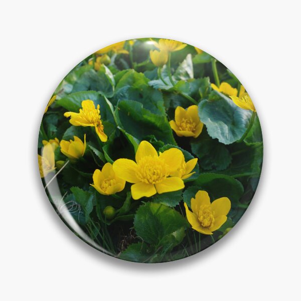 Item preview, Golden marsh marigolds designed and sold by Ristridin1988.