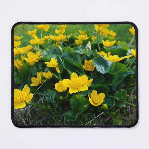 Item preview, Golden marsh marigolds designed and sold by Ristridin1988.