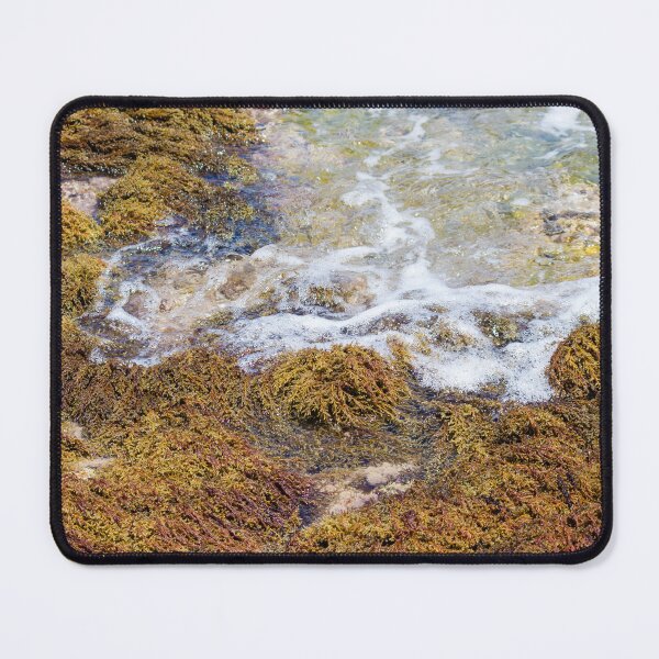 Item preview, Vibrant Seaweed On Rocky Tidepool Shore With Foamy Water And Clear Green Tide designed and sold by Nmallia.