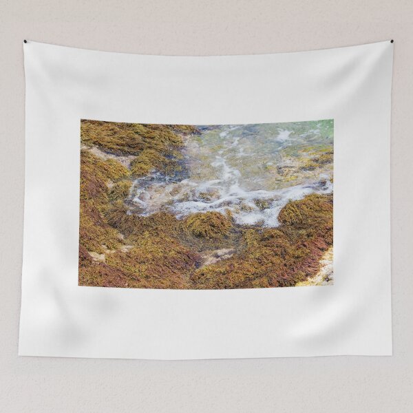 Item preview, Vibrant Seaweed On Rocky Tidepool Shore With Foamy Water And Clear Green Tide designed and sold by Nmallia.