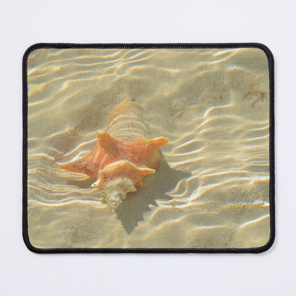 Item preview, Pure Beach Orange Conch Shell designed and sold by newandchange.