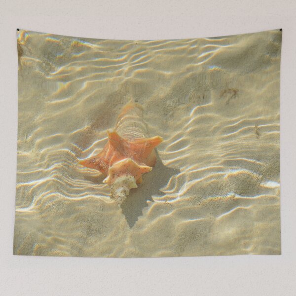 Item preview, Pure Beach Orange Conch Shell designed and sold by newandchange.