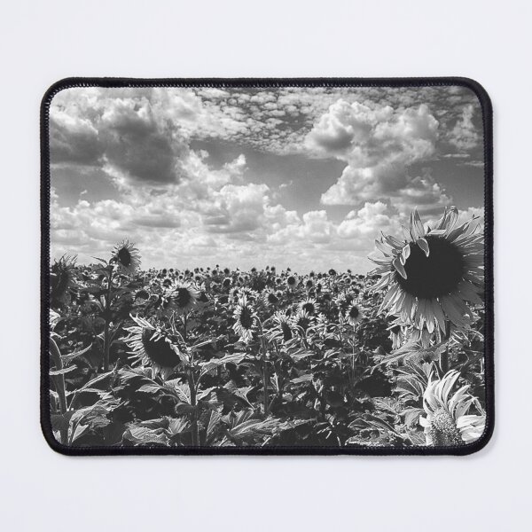 Item preview, Helianthus designed and sold by bkgfoto.
