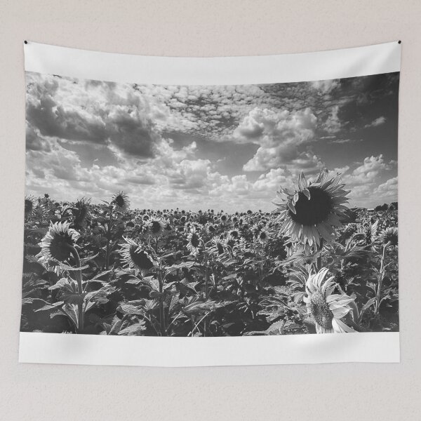 Item preview, Helianthus designed and sold by bkgfoto.