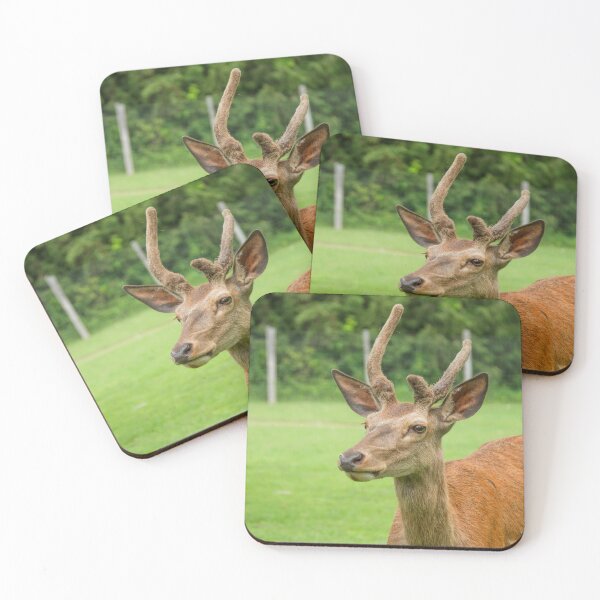 Item preview, Young deer designed and sold by Production Art Manon Meilleur.
