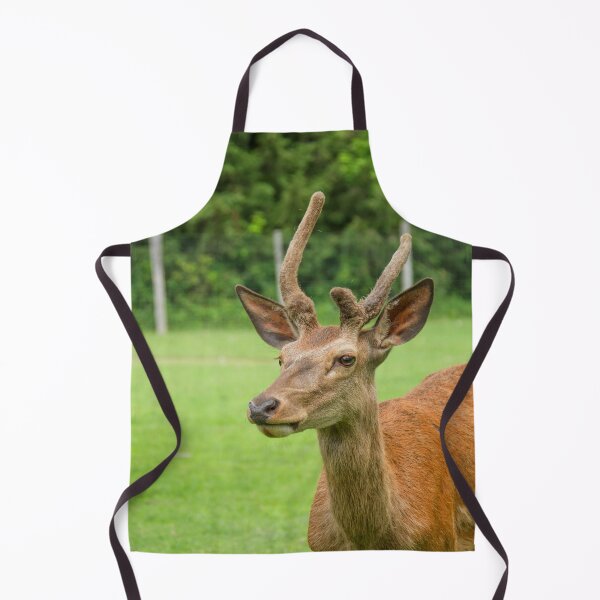 Item preview, Young deer designed and sold by Production Art Manon Meilleur.