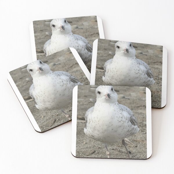Item preview, Seagull designed and sold by KikiArtDesignz.