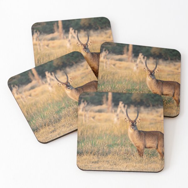 Item preview, Golden Watcher — Waterbuck at Sunset, Okavango Delta designed and sold by DavideAntoniani.