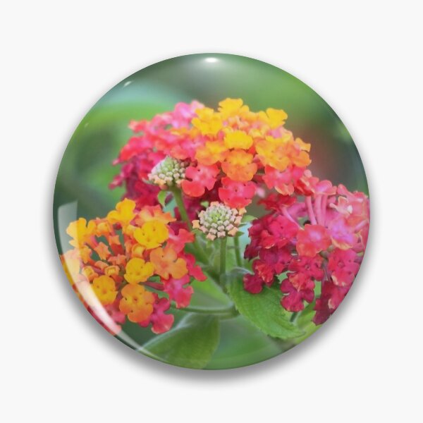 Item preview, flowers III. summer designed and sold by Tereza Pilar  Art.