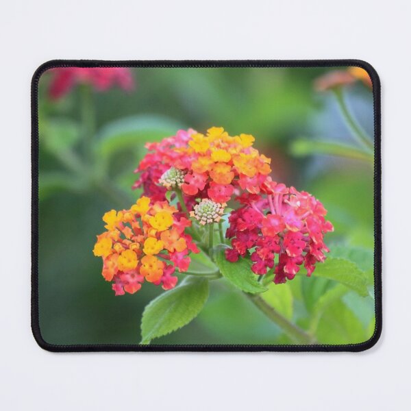 Item preview, flowers III. summer designed and sold by Tereza Pilar  Art.