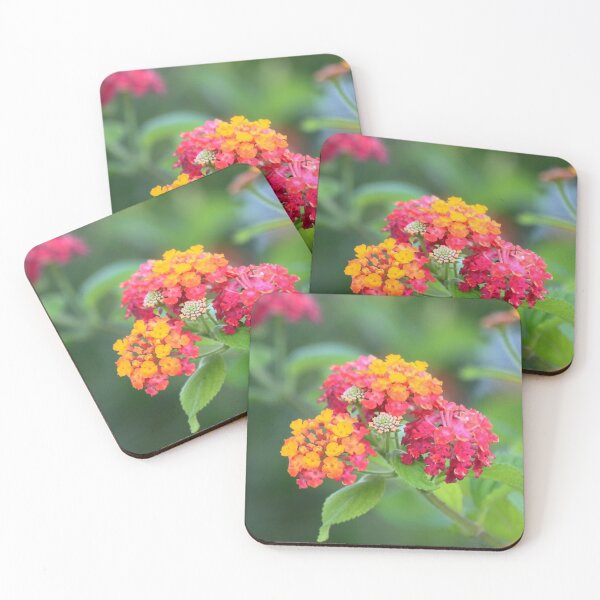 Item preview, flowers III. summer designed and sold by Tereza Pilar  Art.
