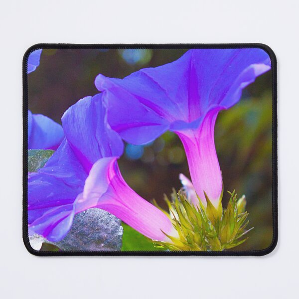 Item preview, gloria de la mañana. violeta designed and sold by Tereza Pilar  Art.
