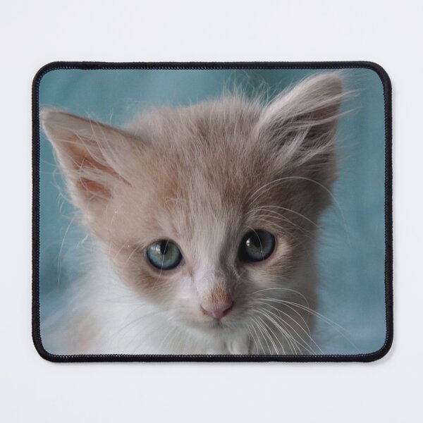 Item preview, Nervous Kitten designed and sold by EdiesArts.