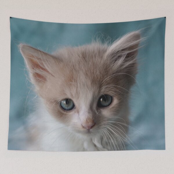 Item preview, Nervous Kitten designed and sold by EdiesArts.