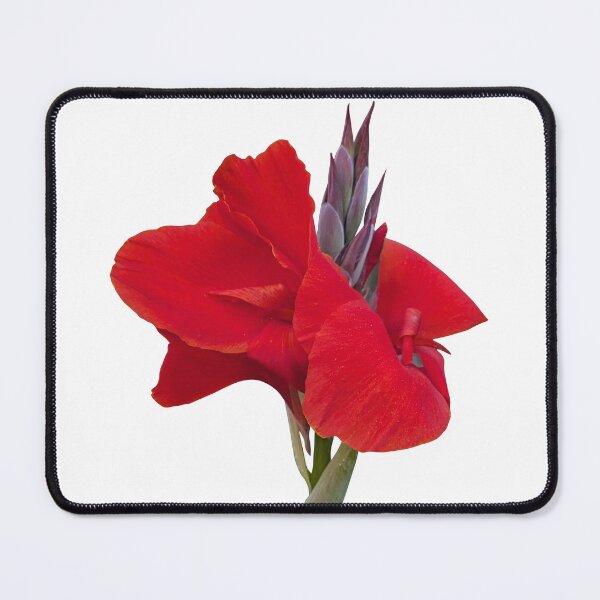 Item preview, Gorgeous Crimson Canna Lily Tropical Flower 2 Shapes Mania designed and sold by Shapes-Mania.