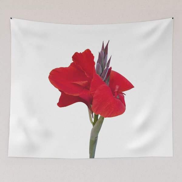 Item preview, Gorgeous Crimson Canna Lily Tropical Flower 2 Shapes Mania designed and sold by Shapes-Mania.