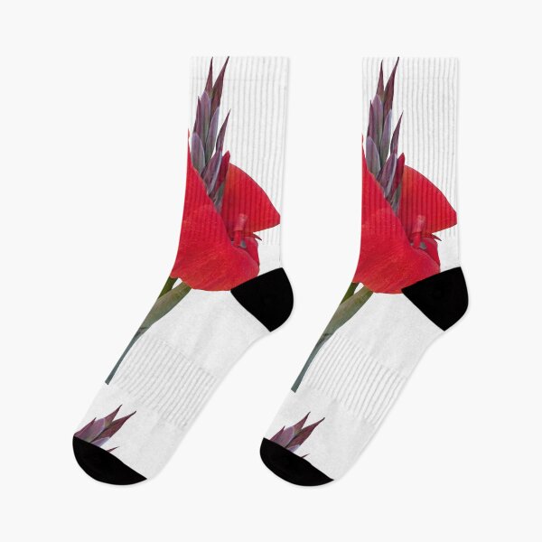 Item preview, Gorgeous Crimson Canna Lily Tropical Flower 2 Shapes Mania designed and sold by Shapes-Mania.