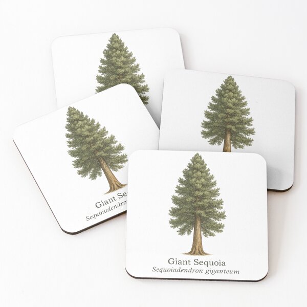 Artikelvorschau, Riesenmammutbaum Botanische Illustration 3 – Sequoiadendron giganteum entworfen und verkauft von BloomKind.