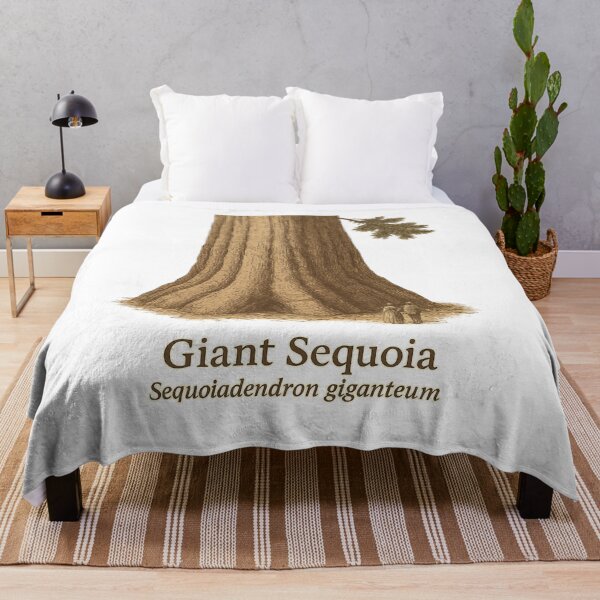 Artikelvorschau, Kopie der botanischen Illustration 4 des Riesenmammutbaums – Sequoiadendron giganteum entworfen und verkauft von BloomKind.