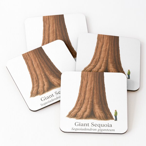 Artikelvorschau, Riesenmammutbaum Botanische Illustration 5 – Sequoiadendron giganteum entworfen und verkauft von BloomKind.