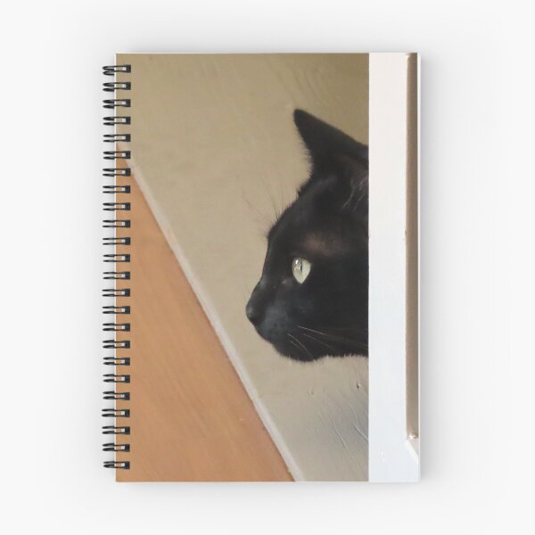 Item preview, The Panther Stare designed and sold by Chriscolibaba.