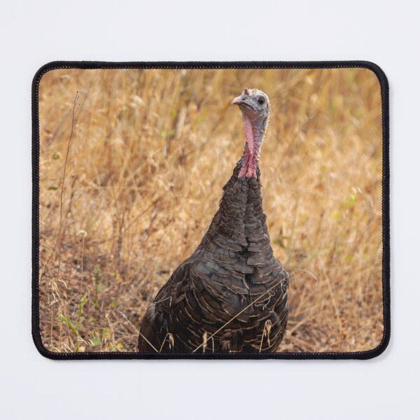 Item preview, Wild Turkey standing in dry grasses designed and sold by lisavonbiela.