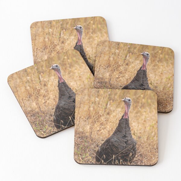 Item preview, Wild Turkey standing in dry grasses designed and sold by lisavonbiela.