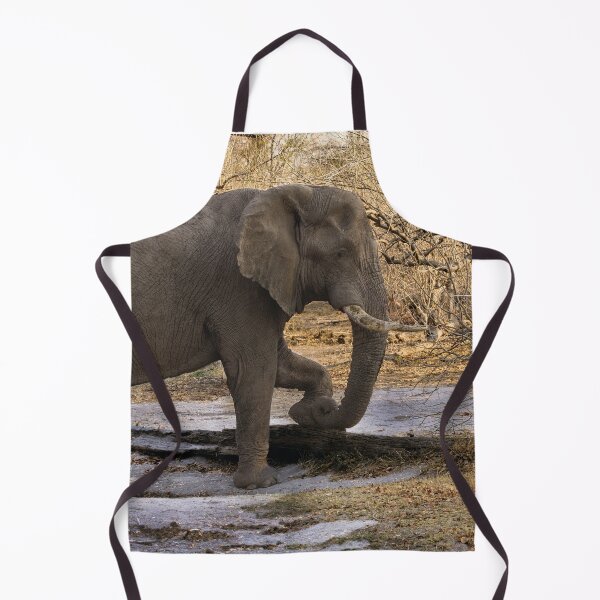 Item preview, Elephant At Rest designed and sold by Kay Brewer.