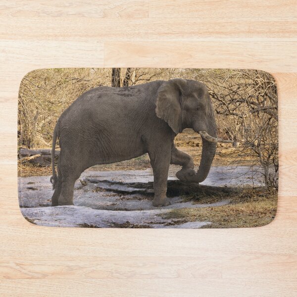 Item preview, Elephant At Rest designed and sold by Kay Brewer.