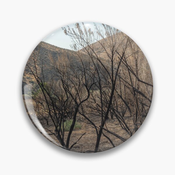 Item preview, Burned tree skeletons after a wildfire designed and sold by lisavonbiela.