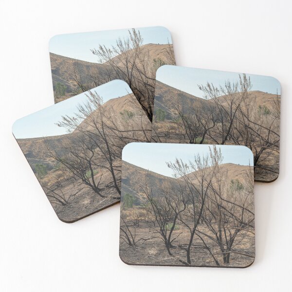 Item preview, Burned tree skeletons after a wildfire designed and sold by lisavonbiela.