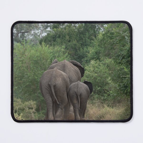 Item preview, Family Footsteps — Elephant Mother and Calf on the Road (Kruger) designed and sold by DavideAntoniani.