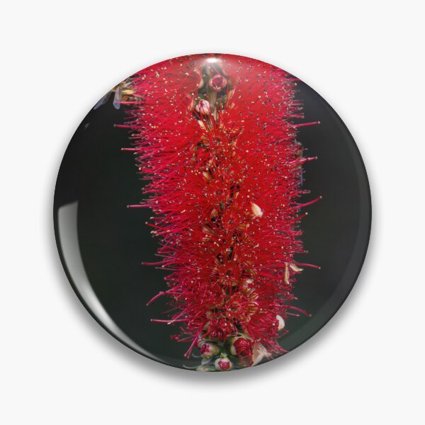 Item preview, Australian Native Plants - bottlebrush designed and sold by Ozjanette90.