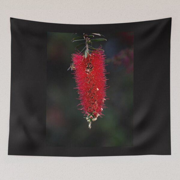 Item preview, Australian Native Plants - bottlebrush designed and sold by Ozjanette90.
