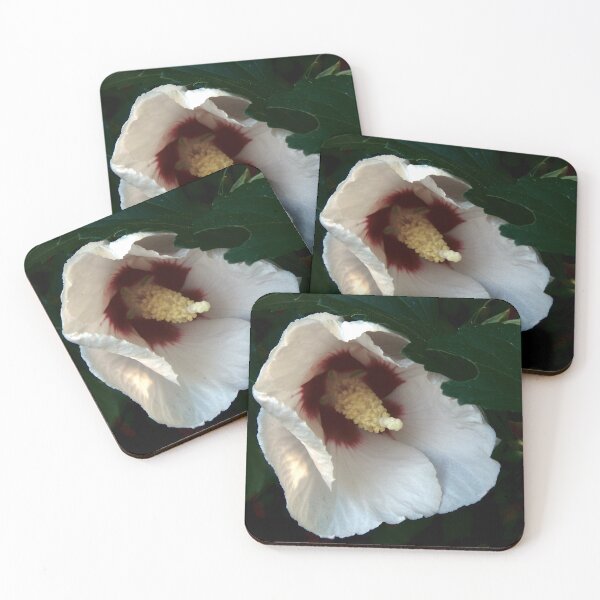 Item preview, Unfurling Red and White Hibiscus designed and sold by gistinker.
