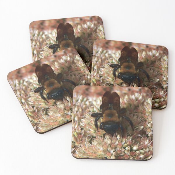 Item preview, Common Eastern Bumblebee on Stonecrop designed and sold by gistinker.