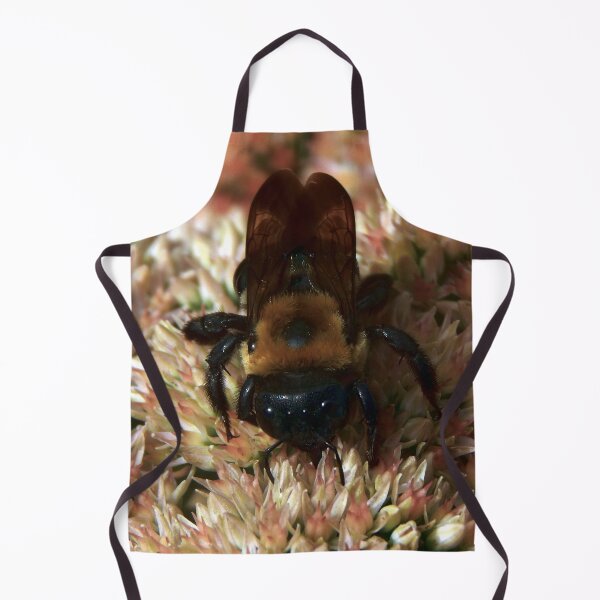 Item preview, Common Eastern Bumblebee on Stonecrop designed and sold by gistinker.