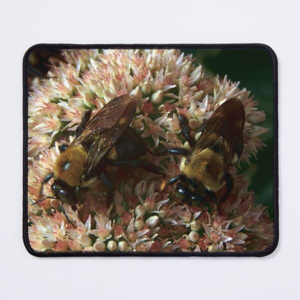 Item preview, Dual Bumblebees designed and sold by gistinker.