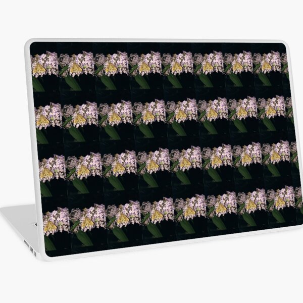 Feeding in the night Laptop Skin