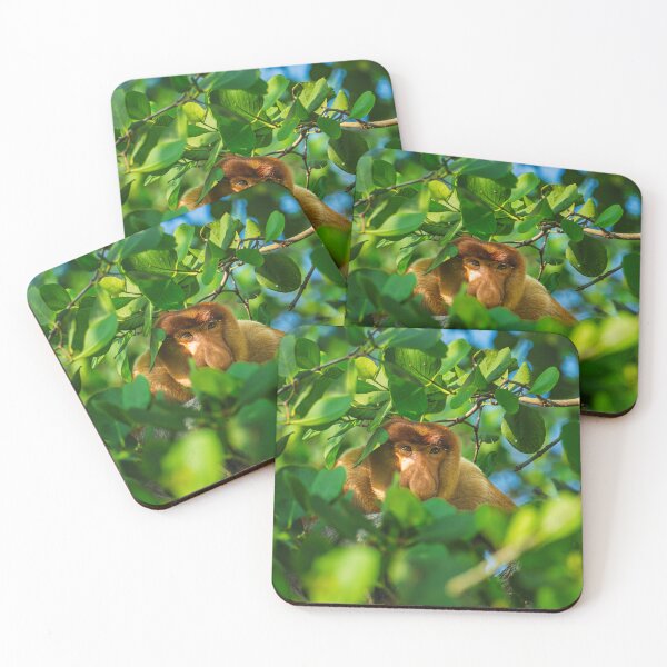 Item preview, Mesmerizing Gaze of an Endangered Proboscis Monkey or Bekantan in Borneo. designed and sold by xeravin.