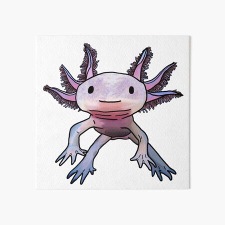 Axolotl Art Board Print By Gracet26 Redbubble