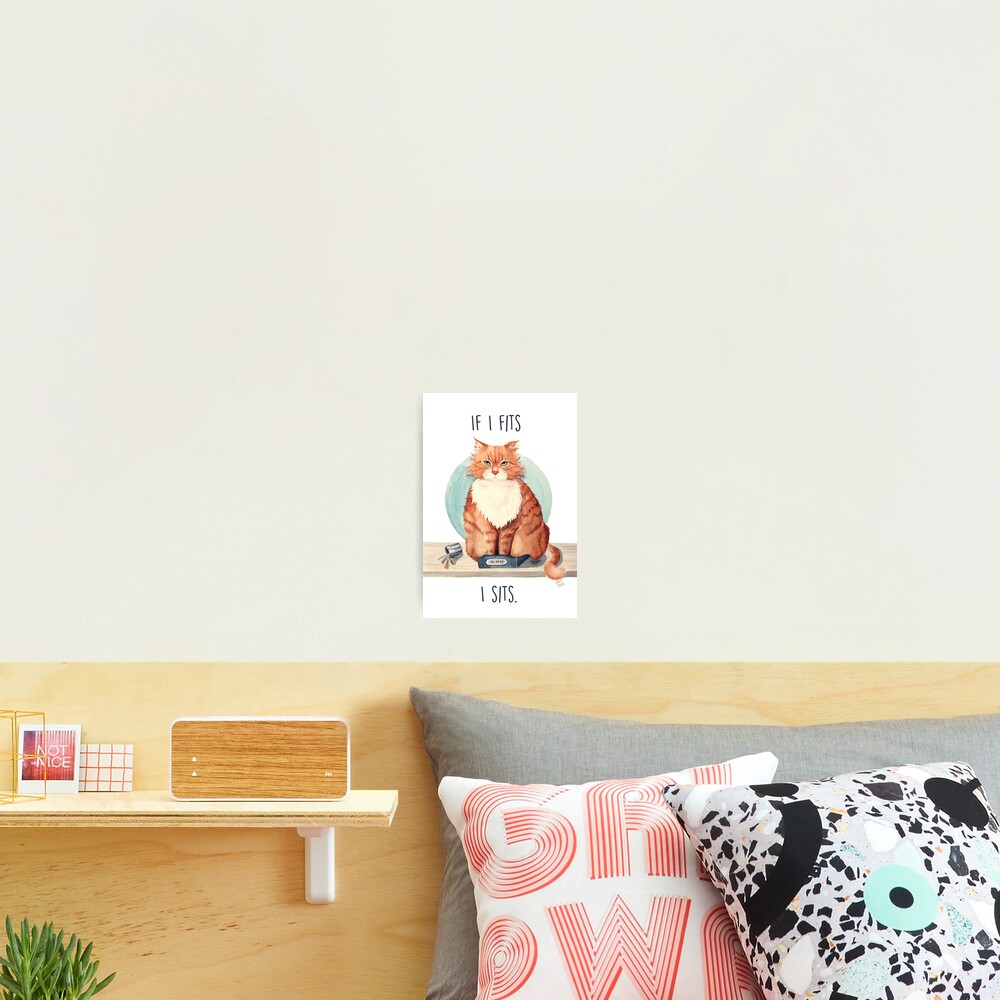 If I fits I sits Photographic Print